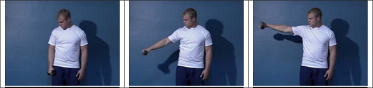 Throwers Ten Exercise Program